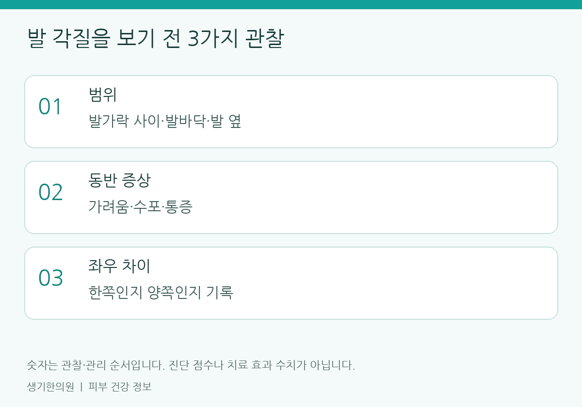 관찰할 항목을 정리한 설명도. 숫자는 진단 점수가 아닙니다.