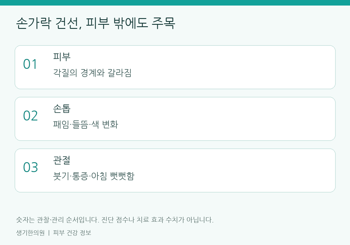 관찰할 항목을 정리한 설명도. 숫자는 진단 점수가 아닙니다.