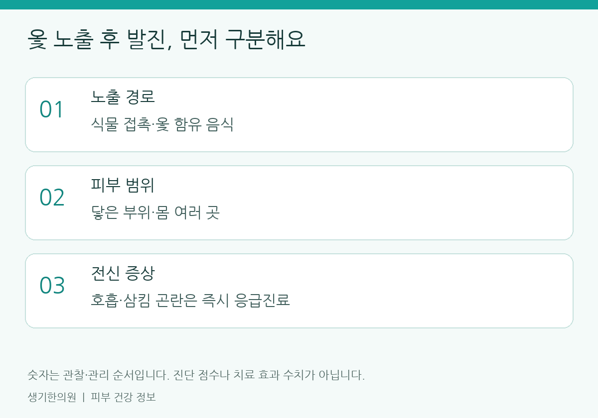 관찰할 항목을 정리한 설명도. 숫자는 진단 점수가 아닙니다.