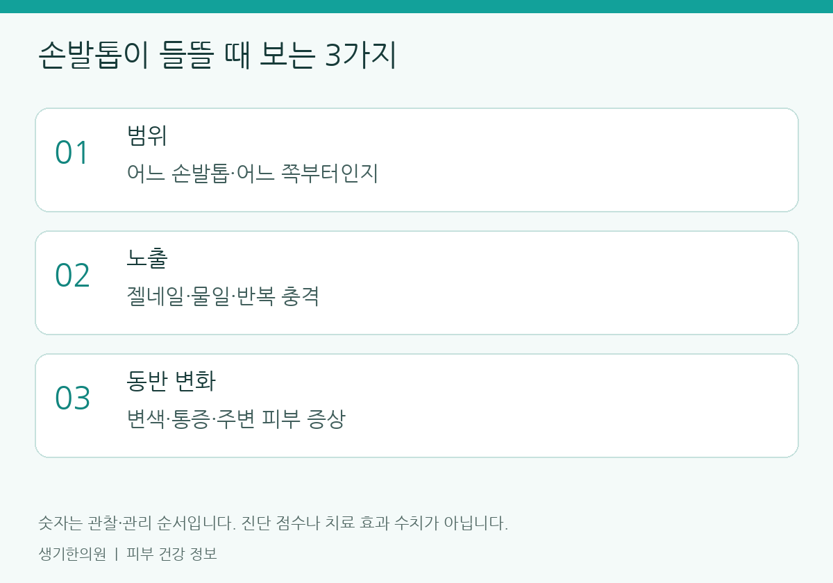 관찰할 항목을 정리한 설명도. 숫자는 진단 점수가 아닙니다.
