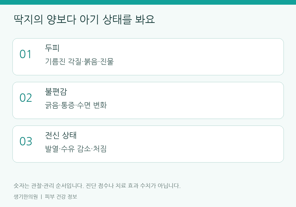 관찰할 항목을 정리한 설명도. 숫자는 진단 점수가 아닙니다.