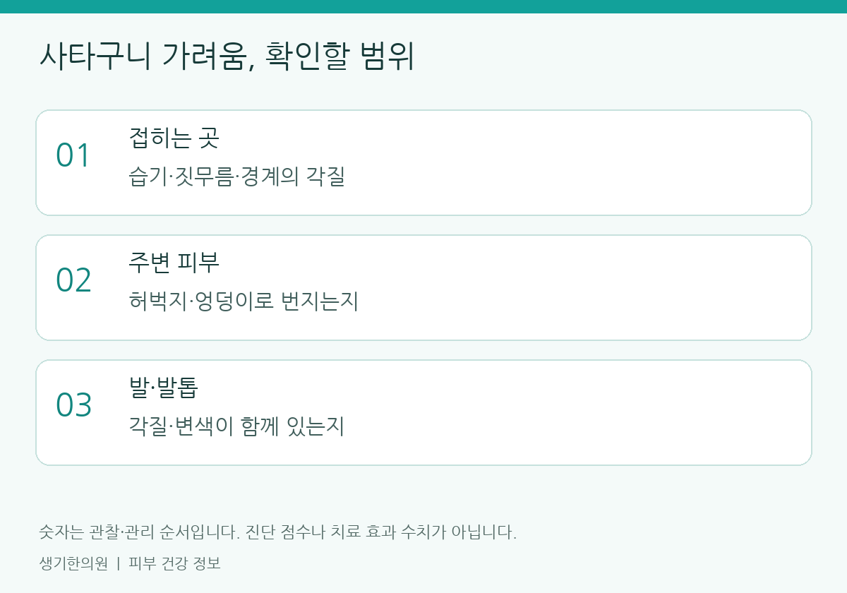 관찰할 항목을 정리한 설명도. 숫자는 진단 점수가 아닙니다.