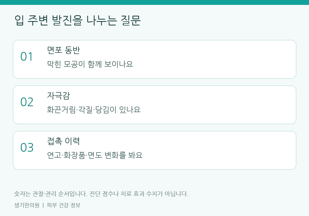 관찰할 항목을 정리한 설명도. 숫자는 진단 점수가 아닙니다.