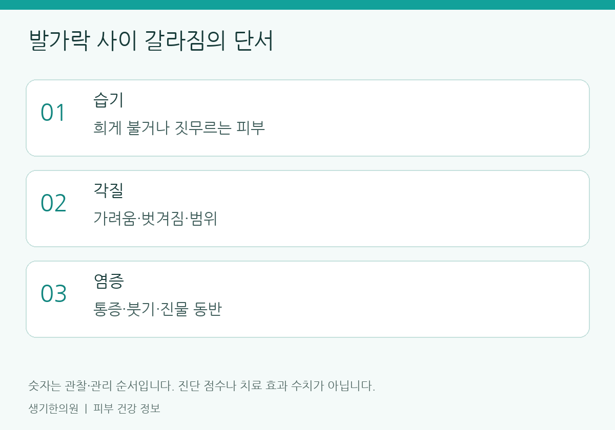 관찰할 항목을 정리한 설명도. 숫자는 진단 점수가 아닙니다.