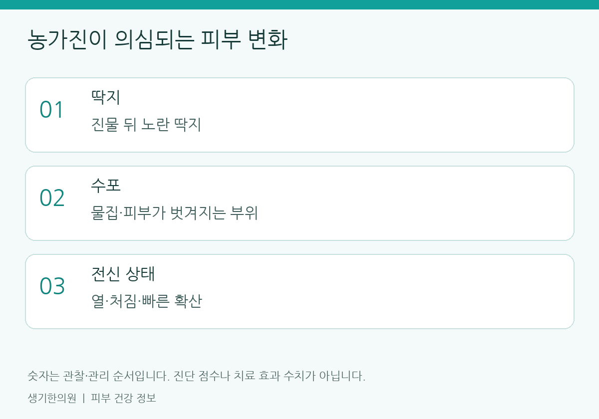관찰할 항목을 정리한 설명도. 숫자는 진단 점수가 아닙니다.