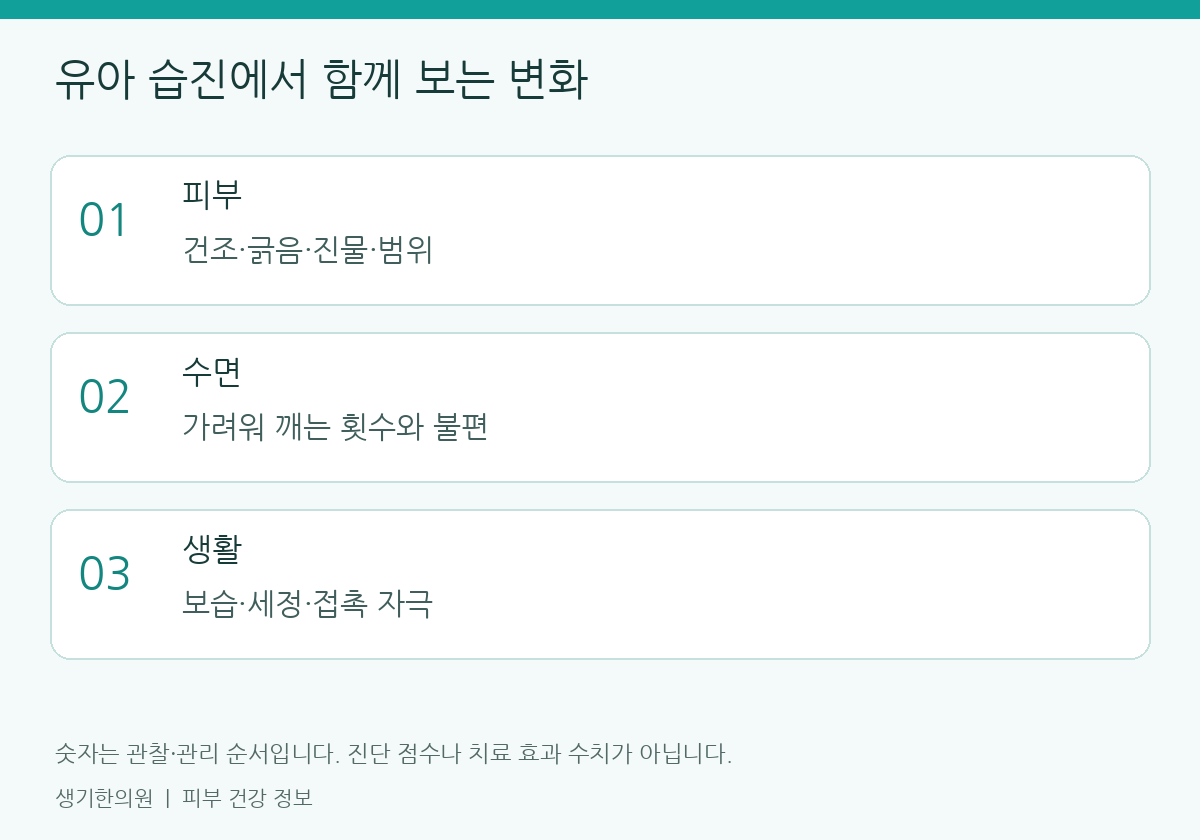 관찰할 항목을 정리한 설명도. 숫자는 진단 점수가 아닙니다.