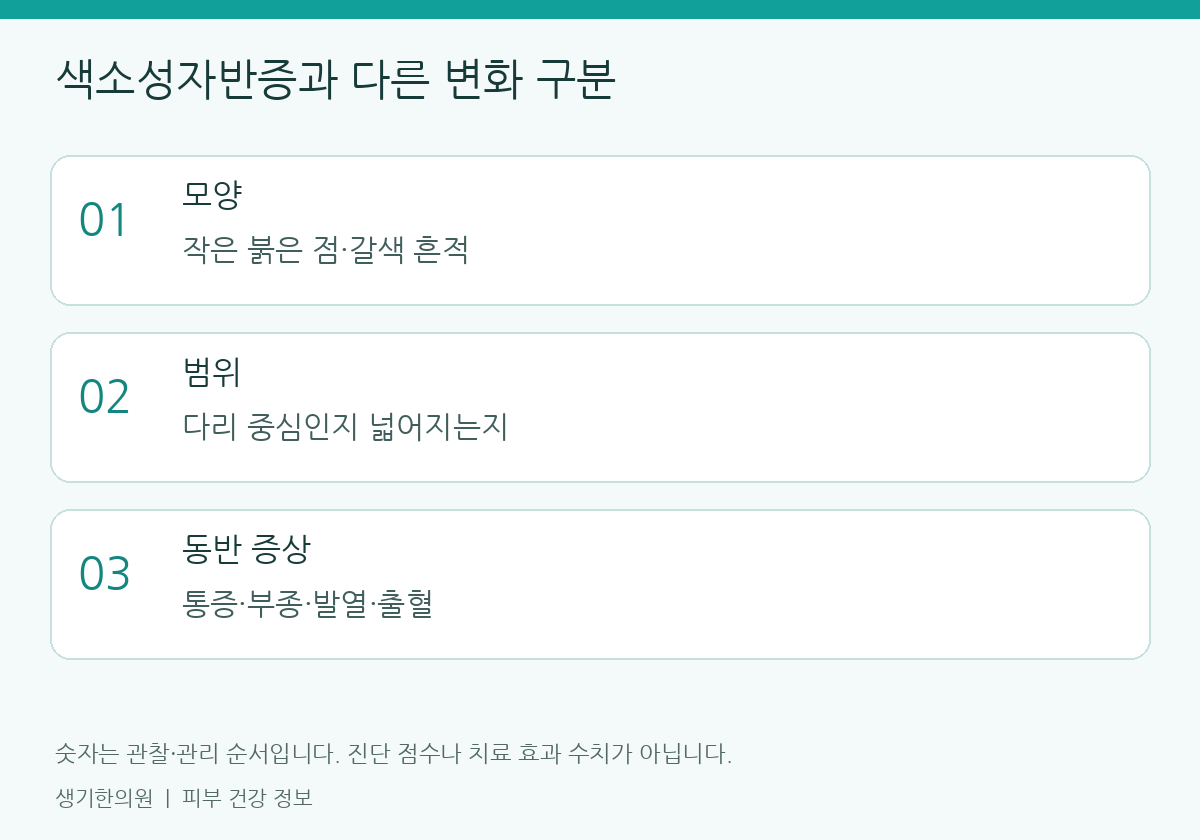 관찰할 항목을 정리한 설명도. 숫자는 진단 점수가 아닙니다.